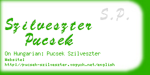 szilveszter pucsek business card